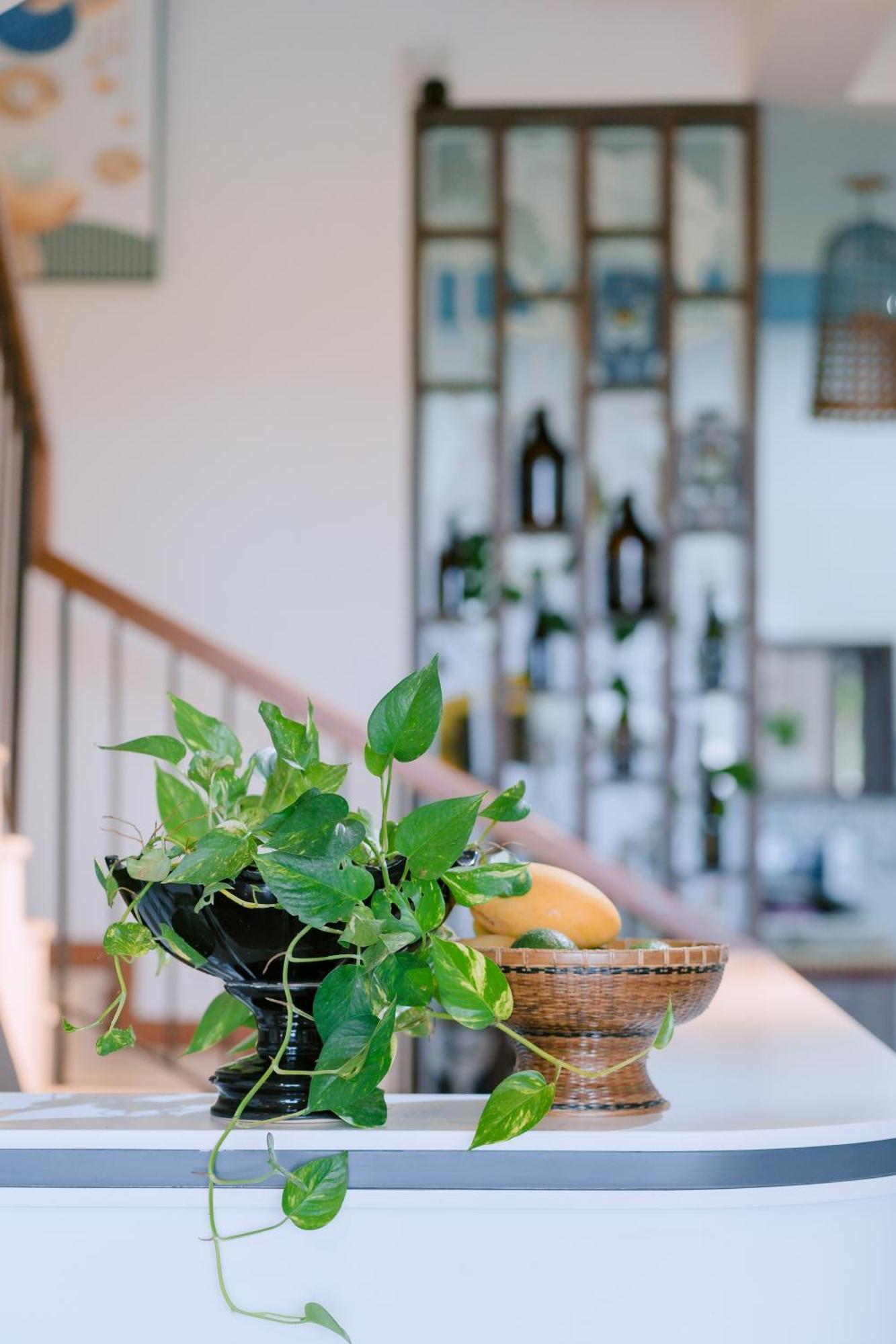Bs Jade Home Hoi An Zewnętrze zdjęcie